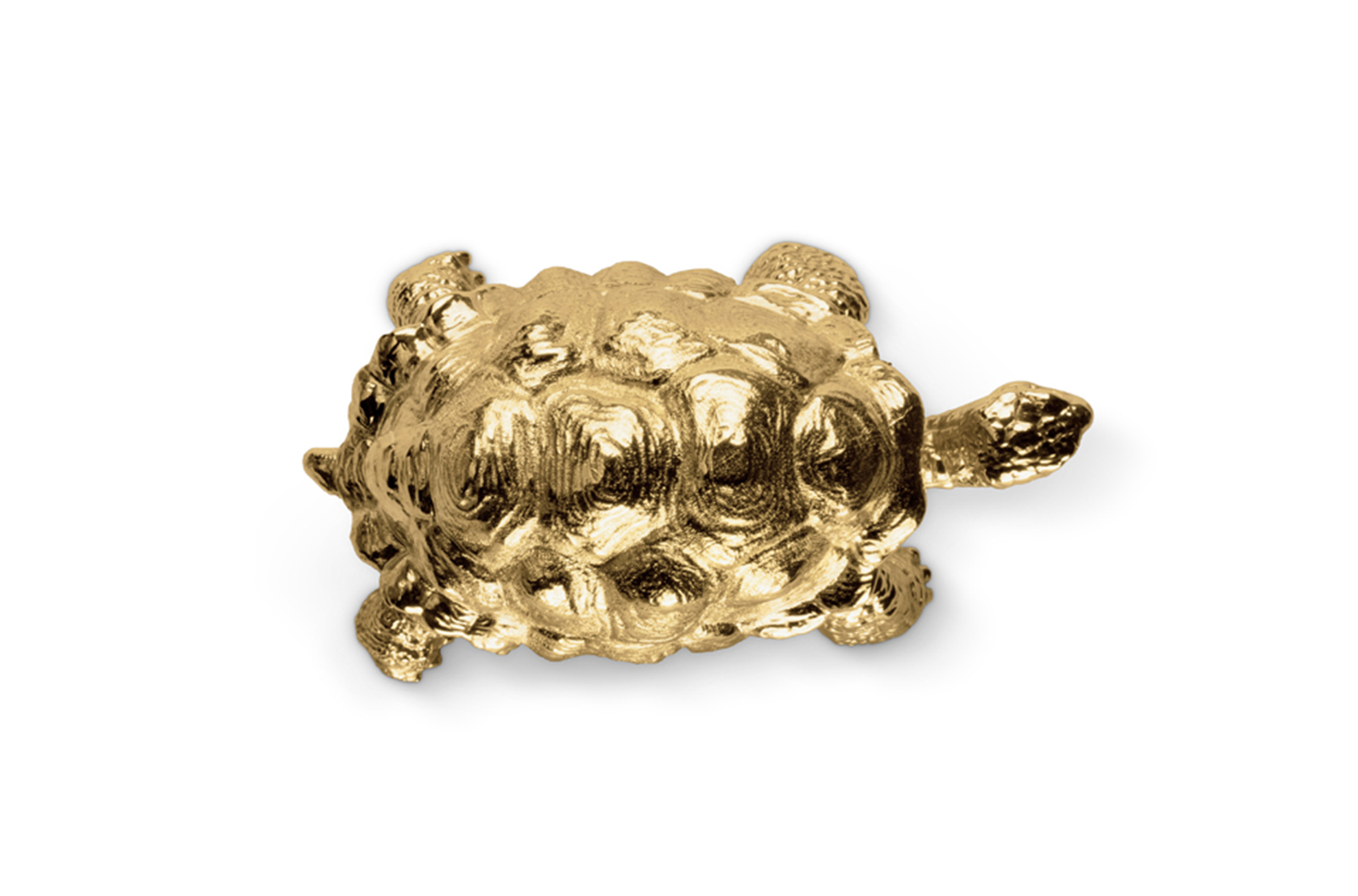 Puxador tartaruga Turtle