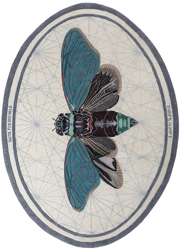 Tapete Tacua Oval Designer Tecido à Mão