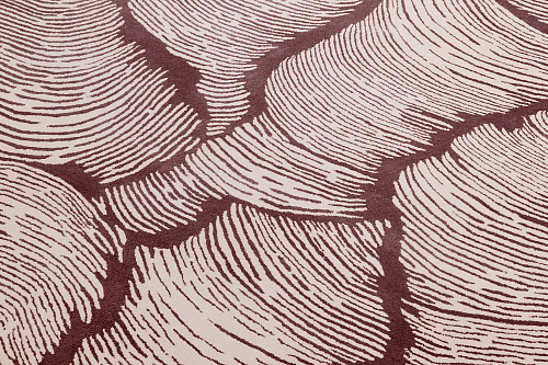 Tapete Designer Canela