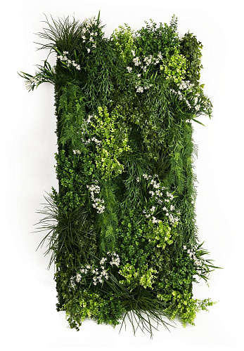 Composição de Parede em Vegetação Exterior Meleda