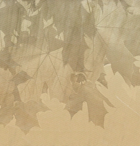 Papel de Parede Creative Leaves