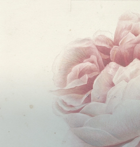 Papel de Parede Romantic Flowers