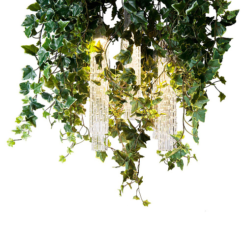 Lustre Ivy