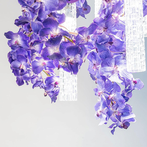 Lustre Grande Vanda