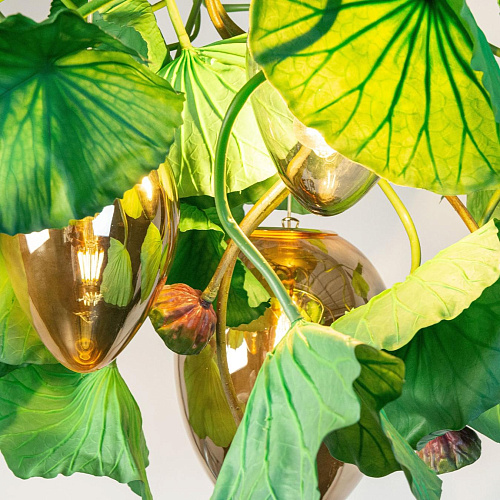 Lustre Redondo Dichondra