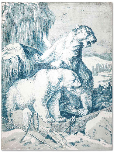 Tapete Polar Bear Tecido à Mão