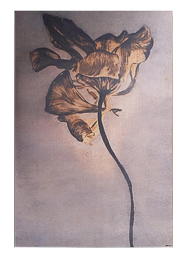 Pintura de parede Yellow Flower amarela