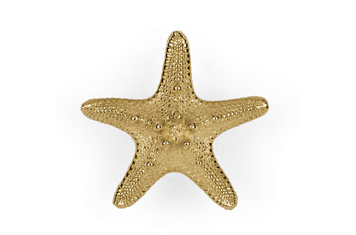 Puxador estrela-do-mar Starfish Linckia