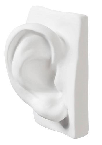 Escultura Orelha de David