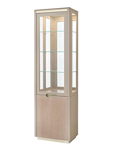 Armário de Exposição com Uma Porta