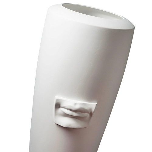 Vaso Obice David Mouth