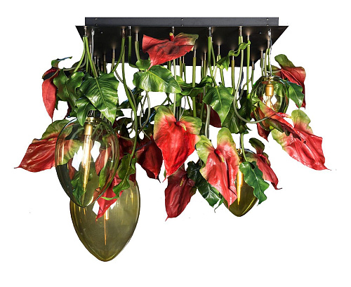 Lustre Anthurium Escuro