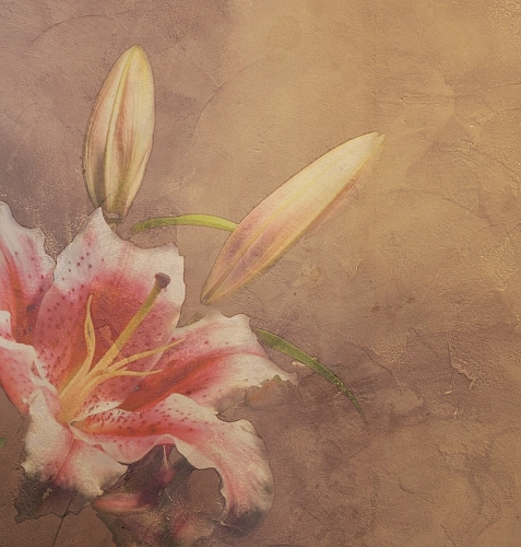 Papel de Parede Amaryllis
