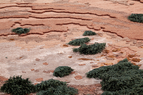 Tapete Art Deco Caramelo