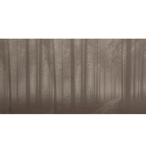 Papel de Parede Night Forest